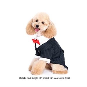 Alfie Dog Pinstripe Tuxedo Suit with Tie/Bow Tie